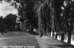 Westteich 1935 Weg mit Ehrenmal