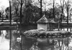 Westteich mit Schwaneninsel und Schwan